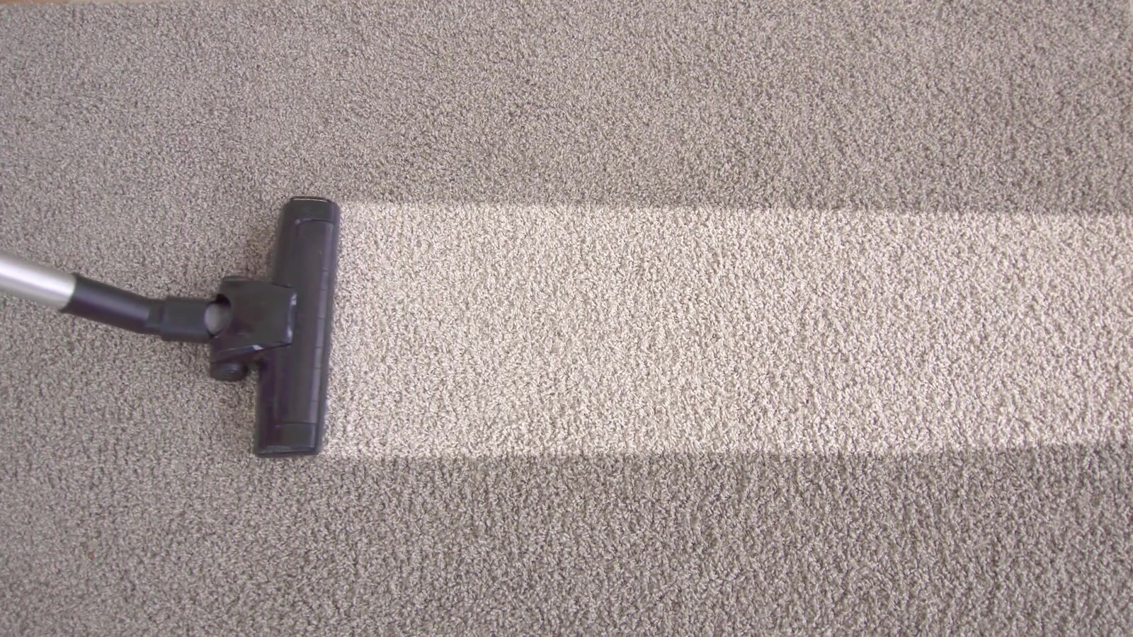 A cleaning tool leaving a clean, lighter stripe across beige wall-to-wall carpet, next to carpet that has not been cleaned yet